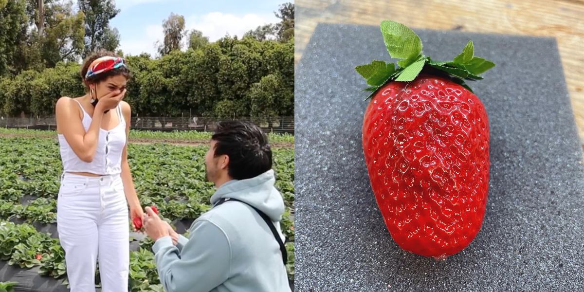 WATCH Ryan Bergara’s full strawberrythemed proposal • PhilSTAR Life